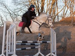 2011 Spring Marts